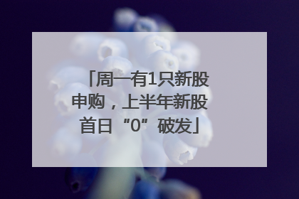 周一有1只新股申购，上半年新股首日“0”破发