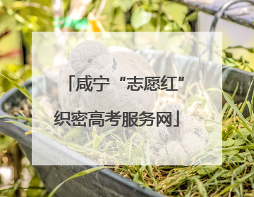 咸宁“志愿红”织密高考服务网