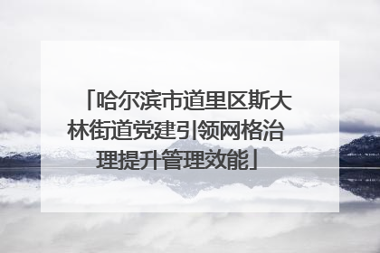 哈尔滨市道里区斯大林街道党建引领网格治理提升管理效能