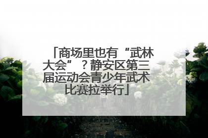 商场里也有“武林大会”？静安区第三届运动会青少年武术比赛拉举行
