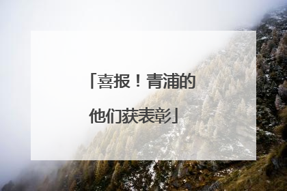 喜报！青浦的他们获表彰