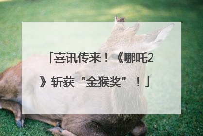 喜讯传来！《哪吒2》斩获“金猴奖”！