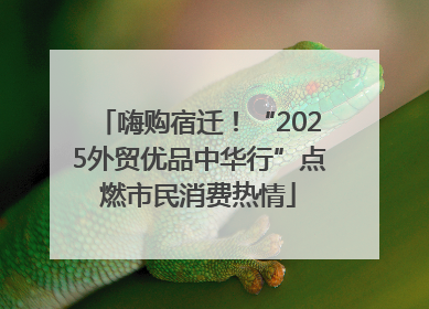 嗨购宿迁！“2025外贸优品中华行”点燃市民消费热情