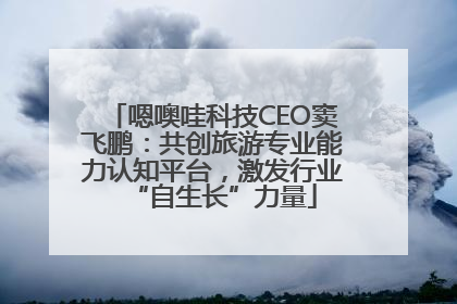嗯噢哇科技CEO窦飞鹏：共创旅游专业能力认知平台，激发行业“自生长”力量