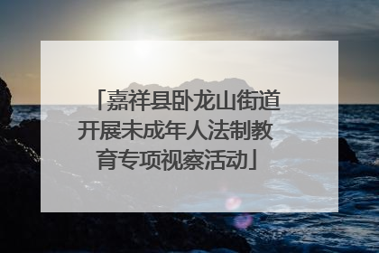 嘉祥县卧龙山街道开展未成年人法制教育专项视察活动