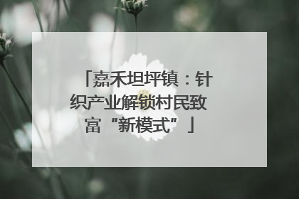 嘉禾坦坪镇：针织产业解锁村民致富“新模式”