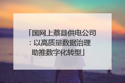 国网上蔡县供电公司：以高质量数据治理 助推数字化转型