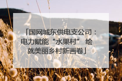 国网城东供电支公司：电力赋能“水果村” 绘就美丽乡村新画卷