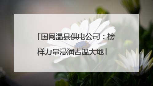 国网温县供电公司：榜样力量浸润古温大地