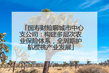 国寿财险聊城市中心支公司：构建多层次农业保险体系，全周期护航樱桃产业发展