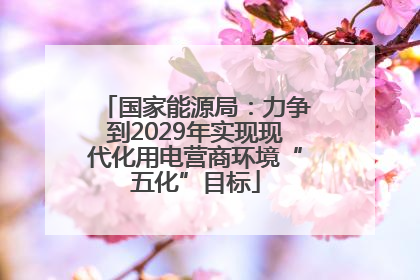 国家能源局：力争到2029年实现现代化用电营商环境“五化”目标