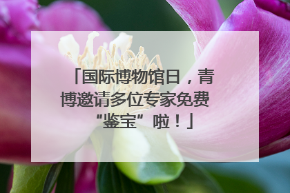 国际博物馆日，青博邀请多位专家免费“鉴宝”啦！