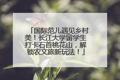 国际范儿遇见乡村美！长江大学留学生打卡石首桃花山，解锁农文旅新玩法！
