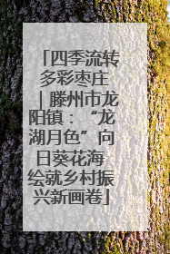 四季流转 多彩枣庄｜滕州市龙阳镇：“龙湖月色”向日葵花海 绘就乡村振兴新画卷
