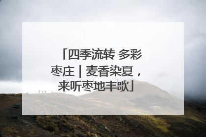 四季流转 多彩枣庄｜麦香染夏，来听枣地丰歌