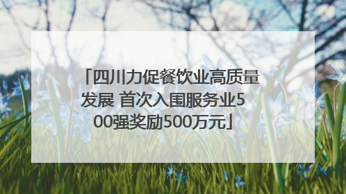 四川力促餐饮业高质量发展 首次入围服务业500强奖励500万元
