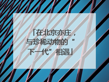 在北京亦庄，与珍稀动物的“下一代”相遇