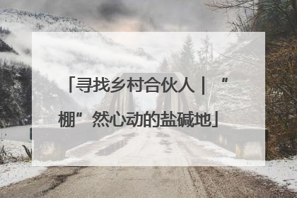寻找乡村合伙人｜“棚”然心动的盐碱地