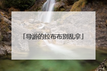 导游的拉布布别乱拿