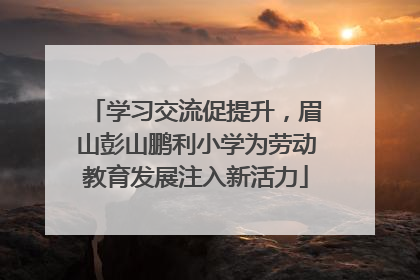 学习交流促提升，眉山彭山鹏利小学为劳动教育发展注入新活力