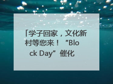 学子回家，文化新村等您来！“Block Day”催化学院式街区新生态
