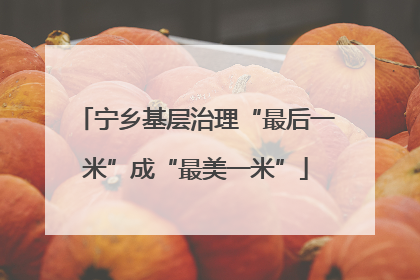 宁乡基层治理“最后一米”成“最美一米”