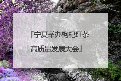 宁夏举办枸杞红茶高质量发展大会