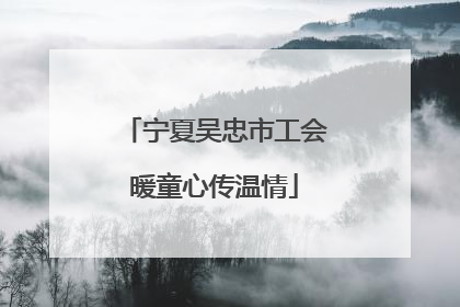 宁夏吴忠市工会暖童心传温情
