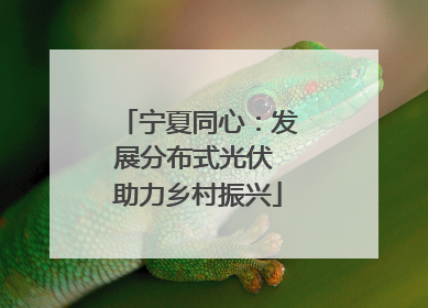 宁夏同心：发展分布式光伏 助力乡村振兴