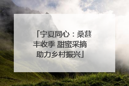 宁夏同心：桑葚丰收季 甜蜜采摘助力乡村振兴