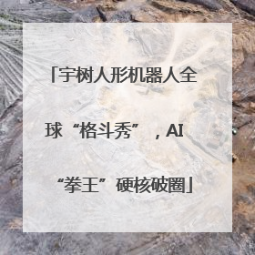 宇树人形机器人全球“格斗秀”，AI“拳王”硬核破圈