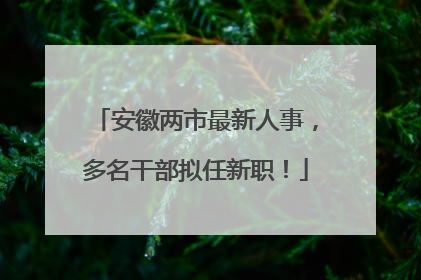 安徽两市最新人事，多名干部拟任新职！
