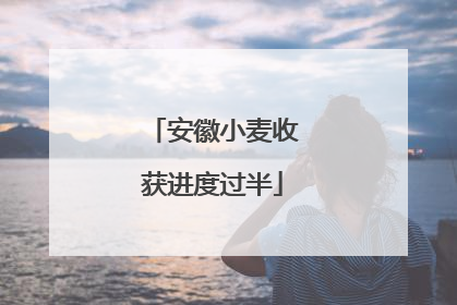 安徽小麦收获进度过半