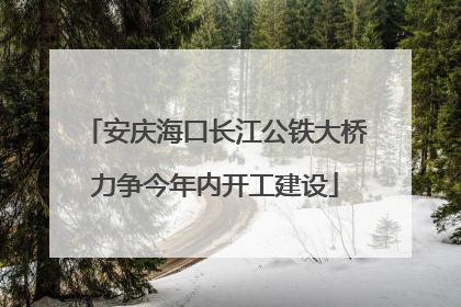 安庆海口长江公铁大桥力争今年内开工建设