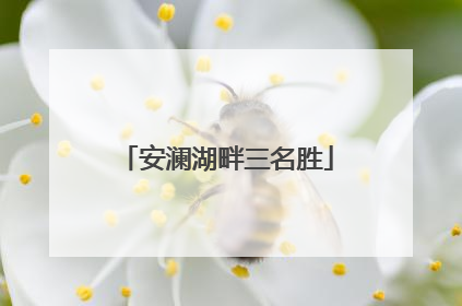 安澜湖畔三名胜