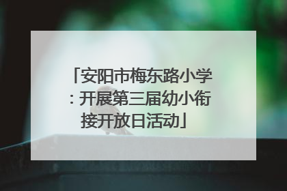 安阳市梅东路小学：开展第三届幼小衔接开放日活动