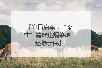 宜昌点军：“柔性”清理违规菜地 还绿于民