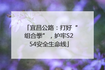 宜昌公路：打好“组合拳”，护牢S254安全生命线