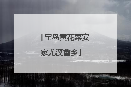 宝岛黄花菜安家尤溪畲乡