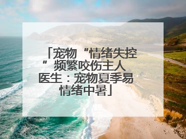 宠物“情绪失控”频繁咬伤主人 医生：宠物夏季易情绪中暑
