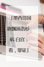 墨西哥国旗飘扬洛杉矶 白宫：看，罪证