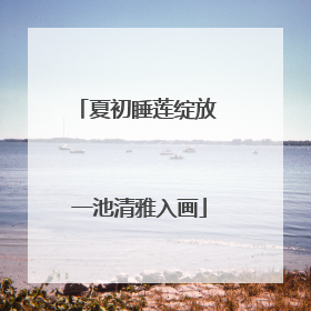 夏初睡莲绽放 一池清雅入画