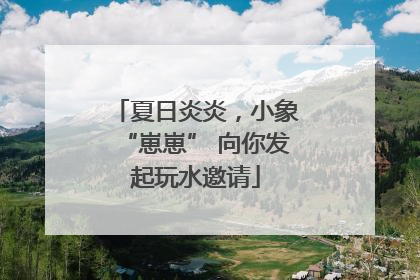 夏日炎炎，小象“崽崽” 向你发起玩水邀请