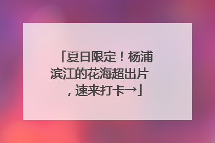 夏日限定！杨浦滨江的花海超出片，速来打卡→