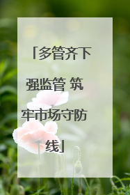 多管齐下强监管 筑牢市场守防线