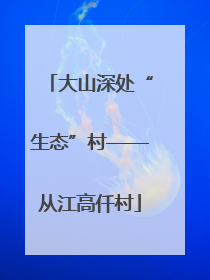 大山深处“生态”村——从江高仟村