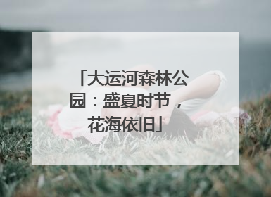 大运河森林公园：盛夏时节，花海依旧