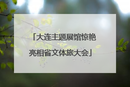 大连主题展馆惊艳亮相省文体旅大会