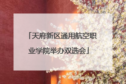 天府新区通用航空职业学院举办双选会