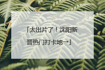 太出片了！沈阳新晋热门打卡地→